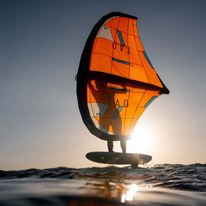 Flysurfer Wings