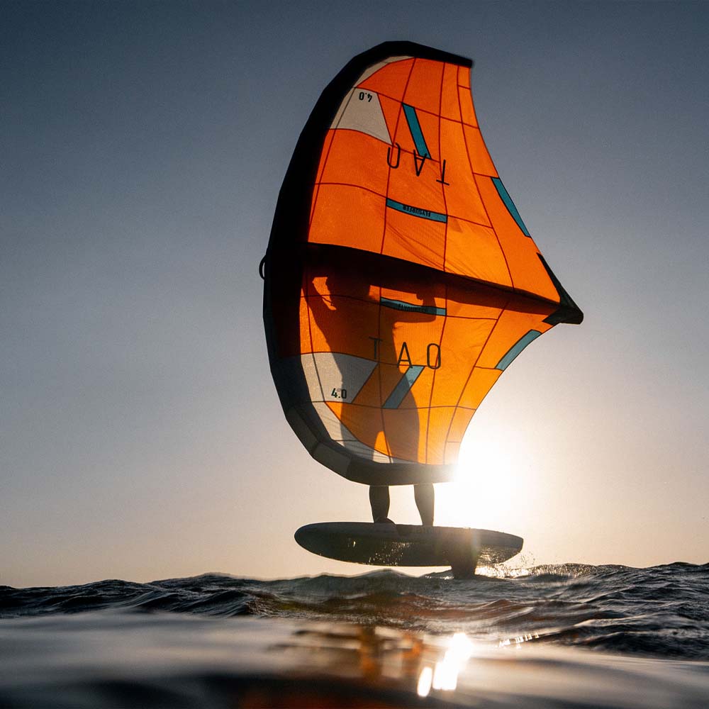 Flysurfer Wings