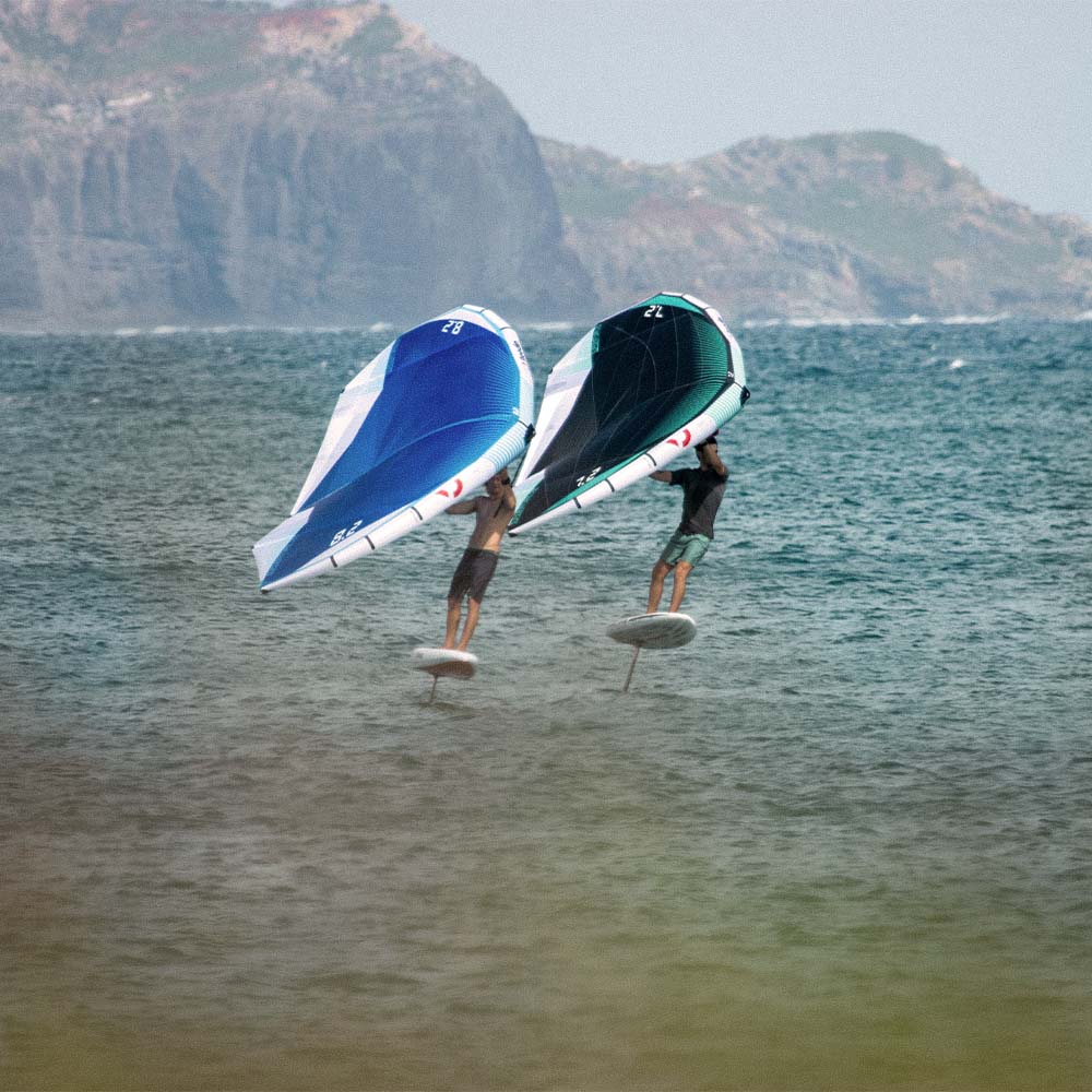 Light Wind Wings