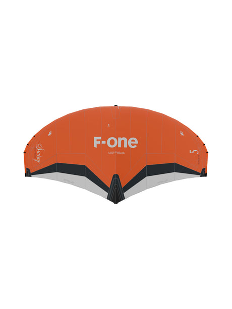 Swing V5 Wing