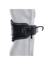 Spectre 2026 Kite Harness